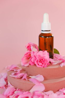 Şişede gül yağı ve pembe bir kürsüde gül çiçekleri. Pembe bir arka planda. Doğal gül yağı. Aromaterapi ve kozmetik 