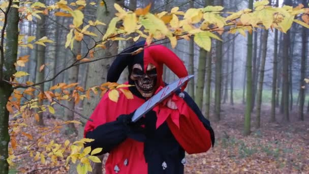 Halloween. Strašidelný kostým šaška. Strašidelný harlekýn s nožem v podzimním lese. — Stock video