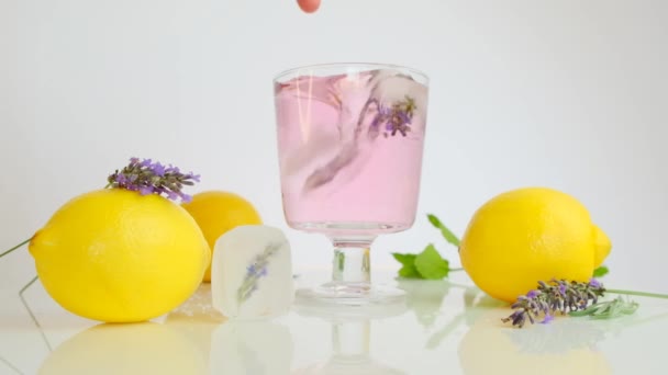 Cóctel refrescante. Coctel de lavanda y flores de lavanda.Bebidas de verano. Lento motion.Lavender bebida de limón. — Vídeos de Stock