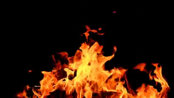 A lenha a arder na fogueira. Atirar lenha para a fogueira. Queimar fogueira. Faíscas e chamas. — Vídeo de Stock