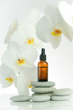 Masaj yağı ve taşlar. Gri taşlara masaj yağı sürülmüş kahverengi cam şişe ve beyaz arka planda orkide çiçeği. Spa ve aroma terapisi..