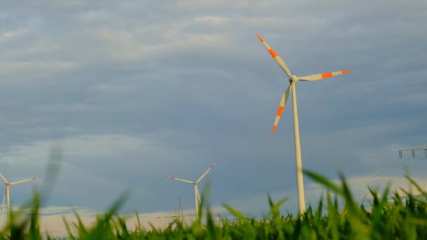 Vindkraft.Vindgeneratorer i grönt gräs.Förnybar energikälla.Grön energi. Miljövänligt energikoncept. — Stockvideo