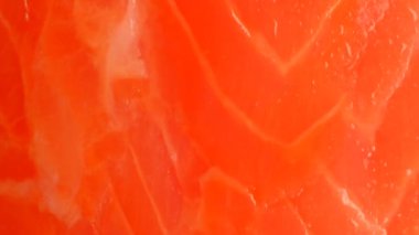 Somon balığı. Taze kırmızı balık. Yakından balık kırmızısı..