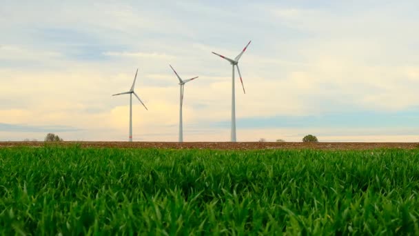 Generadores eólicos.Energía verde.Consumo de energía natural. Energía respetuosa con el medio ambiente. Fuente de energía renovable. — Vídeos de Stock