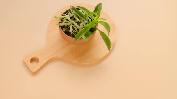 Stevia leaves in round bowls with dry stevia on a round wooden board on a beige background.View from above.Organic natural sweetener.Stevia plant. — Stock Video