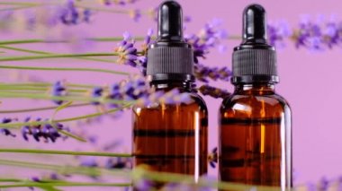 Lavanta yağı, lavanta yağı. Aromaterapi ve masaj. Mor arka planda gerekli yağ setinin cam şişeleri ve lavanta çiçekleri..