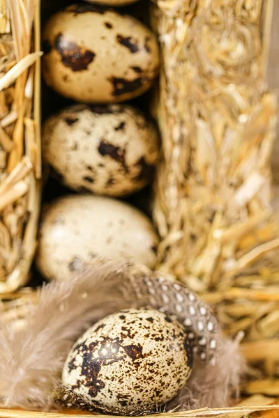 Wachteleier in gepresstem Stroh. Bio-Bauernhof natürliche Wachteleier set.natural protein.Nützliche Lebensmittel und Produkte — Stockfoto