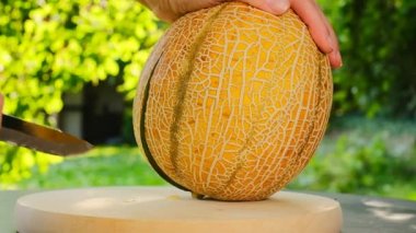 Ballı dondurma. Kadın eli, yaz bahçesinde sulu bir kavun kesiyor. Ağır çekimde. İştah açıcı yaz meyveleri. Olgun sarı kavun. Kadın ellerinde bir kesikte kavun..