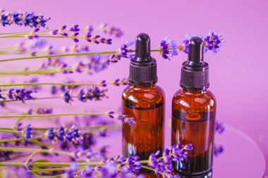 Lavanta esanslı yağ, romaterapi ve masaj. Lavanta aromalı mor aromalı cam şişeler, yağ seti ve lavanta çiçeği..