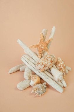 Driftwood çubukları, beyaz denizyıldızı ve bej krem arka planda balıkçı ağı. Denizcilik tarzında doğal ahşap dekor. 