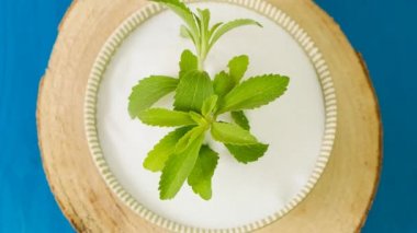 Stevia yeşil bir kasede, üzerinde beyaz stevia tozu olan tahta bir testere ile. Rotasyon. Stevia rebaudiana. Yukarıdan bak. Organik doğal tatlandırıcı. Stevia bitkileri..