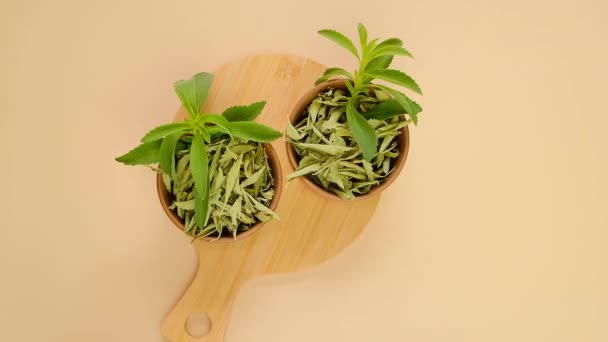 Stevia rebaudiana. Frische Steviablätter in runden Schalen mit trockenem Stevia auf einem runden Holzbrett auf beigem Hintergrund. Blick von oben. Biologischer natürlicher Süßstoff.Steviapflanze. — Stockvideo