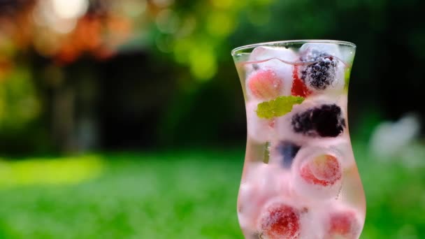 Zomer drankje. Berry cocktail.Cocktail met kruisbessen en bramen, munt en ijsblokjes in een glas transparant glas in een zomertuin in de zon.Berry drinken met ijs en mineraalwater. — Stockvideo