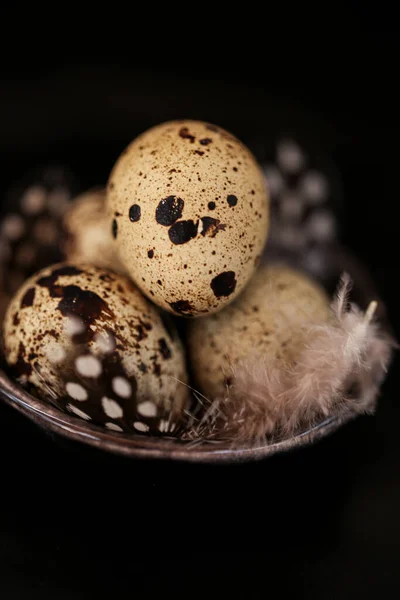 Quail eggs with feathers on a black slate background.Organic Farm natural quail eggs set.natural protein.Useful healthy food and products — Stock Photo, Image