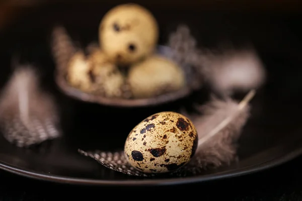 Quail eggs with feathers in a black plate on a black slate background.Organic Farm natural bio quail eggs set. — Stock Photo, Image