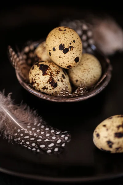Quail eggs with feathers in a black plate on a black slate background.Organic Farm natural bio quail eggs set.natural protein. healthy food and products — Stock Photo, Image