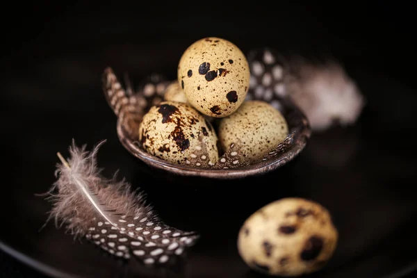 Quail eggs with feathers in a black ceramic plate on a black slate background.Organic Farm natural bio quail eggs set.natural protein. — Stock Photo, Image