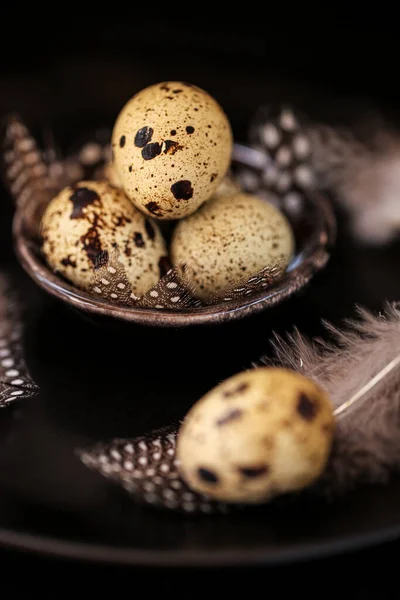 Quail eggs with feathers in a black plate on a black slate background.Organic Farm natural bio quail eggs.natural protein.Useful healthy food and products — Stock Photo, Image