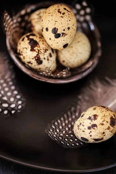 Quail eggs with feathers in a black plate on a black slate background.Organic Farm natural quail eggs set.natural protein.Useful healthy food and products — Stock Photo, Image