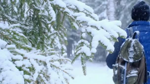 Zimní turistika. Muž s batohem v zimním zasněženém lese.Procházky v zimním lese. Sníh v lese. — Stock video