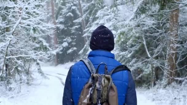 Spacery w zimowym lasie.Turystyka zimowa. Człowiek z plecakiem w zimowym śnieżnym lesie. Śnieg w lesie. — Wideo stockowe