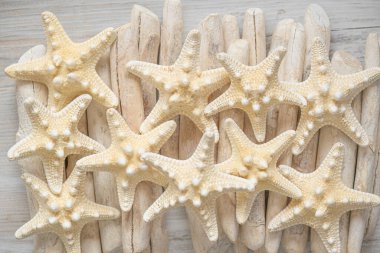 Deniz Yaz Duvar Kağıdı. beyaz tahta üzerinde bej deniz yıldızı beyaz tahta üzerinde çubuklar. Denizcilik dekorasyonu. Beyaz ve bej renkte bir deniz sitili.