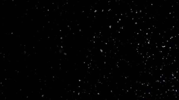 Falling snow. snowy weather. White flakes of snow in the dark.Flying snow. Slow motion. — Stock Video