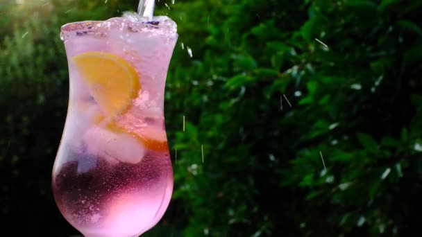 Lavanda Lemon Cocktail se vierte en un vaso. Lavanda bebida de verano. Refrescante bebida fría. Cóctel de vidrio con bebida, flores de lavanda, limones y hielo.Golpes y gotas — Vídeos de Stock