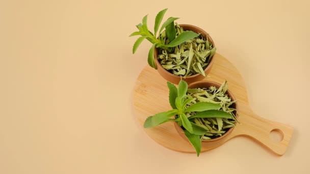 Stevia rebaudiana. Fresh stevia leaves in round bowls with dry stevia — Stok video