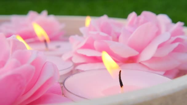 Květinové svíčky. Růžová svíčka. Svíčky s růžovou vůně.Růže vonící svíčky. — Stock video