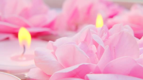 Rosenkerze. Blumenkerzen.Rosenduftkerzen. Rosa brennende Kerzen und rosa Rosen im Wasser.Kerzen mit Rosenduft. Aromatherapie und Wellness — Stockvideo