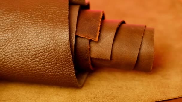 Roll of skin close-up. Texture of brown leather. Genuine brown leather — 비디오