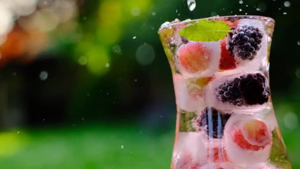 Berry cocktail.Splashes en druppels van een Summer drink.Cocktail met kruisbessen en bramen, munt en ijsblokjes in een glas transparant glas in een zomertuin in de zon.Berry drinken met ijs — Stockvideo