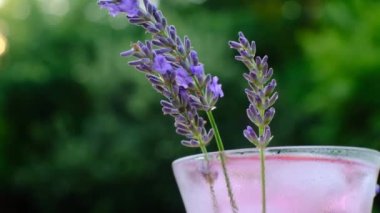 Lavanta yaz içeceği. Ağır çekim. Lavanta kokteyli. Soğuk sisli cam yakın plan ve güneşte lavanta çiçekleri. Leylak içeceği ile cam kokteyl bardağı.