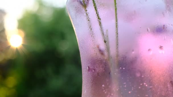 Lavender Cocktail.Cold misted glass close-up and lavender flowers in the sun. Lavender summer drink. Slow motion.Glass cocktail glass with lilac drink — Stock Video