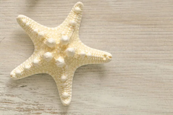 Summer Wallpaper. beige starfish on white shabby chic background.Summer nautical decor.Background in a marine style in beige tones — Stockfoto