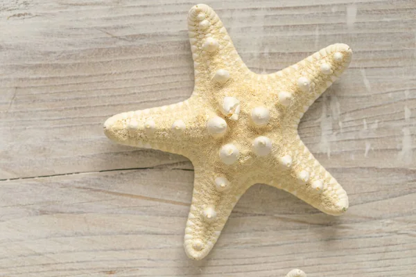 Summer nautical Wallpaper. beige starfish on white shabby chic background.Background in a marine style in white and beige tones — Stockfoto