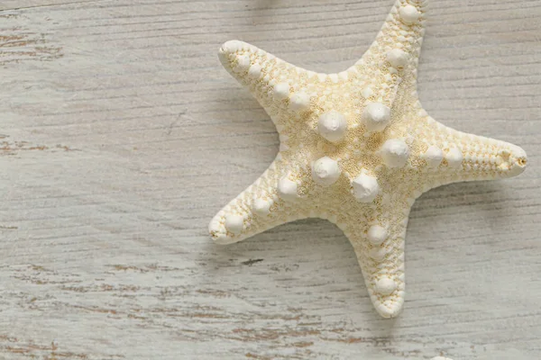 Starfish. White starfish on white shabby chic background.Summer nautical decor.Background in a marine style — Stockfoto