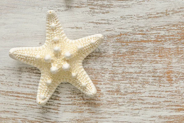 White starfish on white shabby chic background.Summer nautical decor.Background in a marine style — Stockfoto