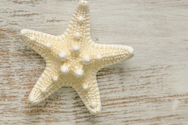 Marine summer Wallpaper. beige starfish on white shabby chic background.Summer nautical decor.Background in a marine style in white and beige tones — стоковое фото