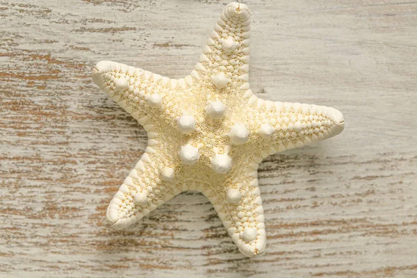 Marine Wallpaper. beige starfish on white shabby chic background.Summer nautical decor.Background in a marine style in white and beige tones — Stockfoto