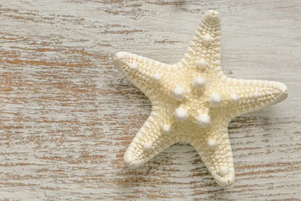Starfish on white shabby chic background.Summer nautical decor.Background in a marine style — Stockfoto