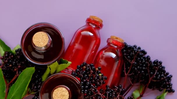 Jarabe de sambucus jarabe rojo en un conjunto de botellas de vidrio y racimos de saúco sobre un fondo púrpura ramas de estambuco.Jarabe de saúco. — Vídeos de Stock