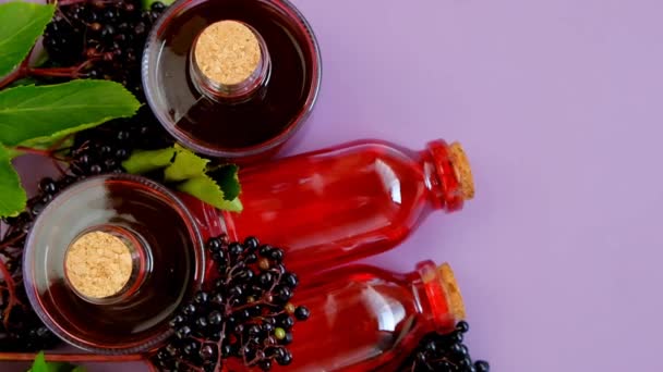 Sambucus syrup. elderberry syrup in a glass bottle and bunches of elderberries on a purple background.Ripe black elderberry. Elderberry harvest — Vídeo de Stock