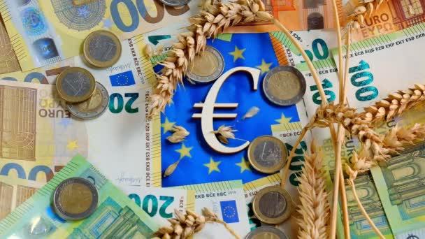 El coste del trigo y la harina en los países de la UE. Billetes de euros y granos de trigo caen en la bandera de la Unión Europea. Crisis alimentaria en Europa.Precios del trigo y la harina en Europa. — Vídeo de stock