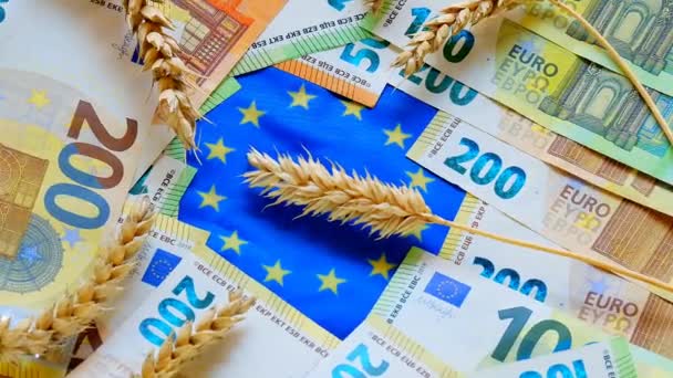 欧洲的粮食危机。在欧盟购买小麦。欧洲小麦价格。欧元钞票和挂在欧洲联盟旗帜上的麦穗。 — 图库视频影像