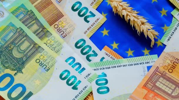 El coste del trigo y la harina en la UE. espiguillas de trigo y billetes de papel en euros sobre el fondo de la bandera de la Unión Europea.Precios del trigo y la harina en Europa. — Vídeo de stock