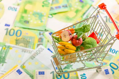 Avrupa 'da yemek sepeti. Avrupa 'da market sepeti. Yiyecek krizi. Avrupa Birliği 'nde artan gıda fiyatları. Avro banknotlarının arka planında market arabaları.