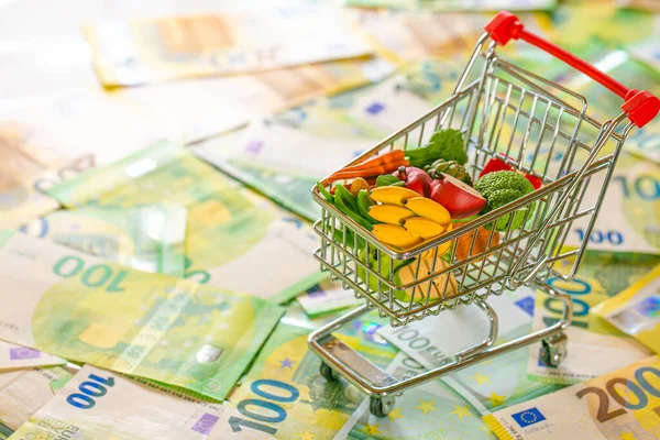 Avrupa 'da yiyecek sepeti. Yiyecek krizi. Avrupa Birliği 'nde artan gıda fiyatları. Avro banknotları üzerinde market arabaları. Avro Bölgesi 'nde yiyecek sepeti.