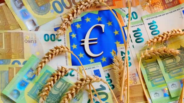 Potravinová krize v Evropě. náklady na pšenici a mouku v zemích EU.Zrna pšenice na hrotech pšenice a papíru eurobankovky na pozadí vlajky EU.Ceny za pšenici — Stock video